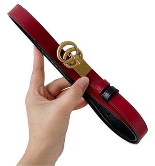 Gucci cinto